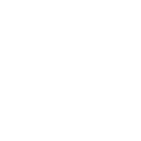 postural ball